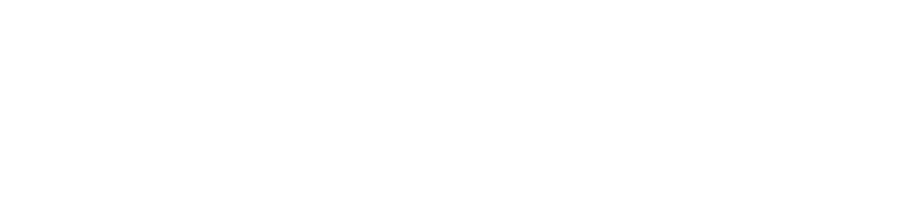 Team ITS logo